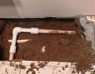 绥化测漏水哪家好